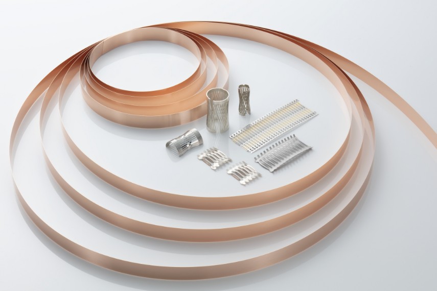 Beryllium Copper Strips